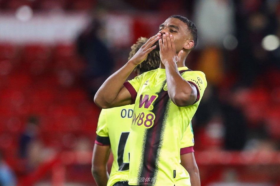 训练的成果 训练的成果